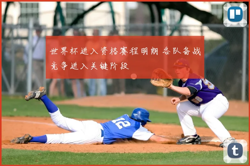 世界杯进入资格赛程明朗 各队备战竞争进入关键阶段