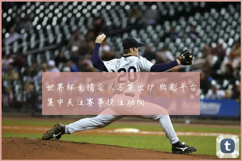 世界杯竞猜合买方案出炉 购彩平台集中关注赛事投注动向