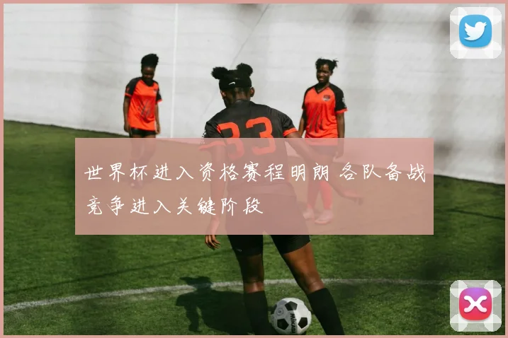 世界杯进入资格赛程明朗 各队备战竞争进入关键阶段