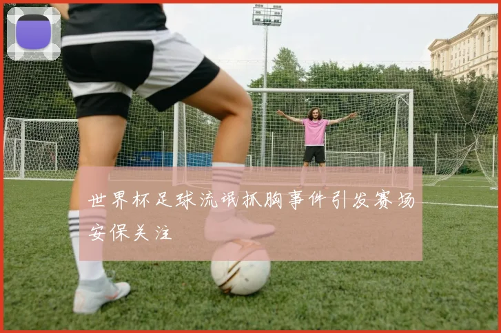 世界杯足球流氓抓胸事件引发赛场安保关注