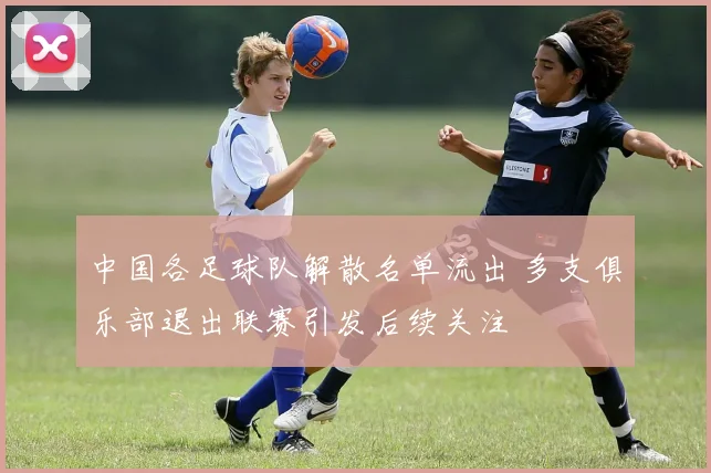 中国各足球队解散名单流出 多支俱乐部退出联赛引发后续关注
