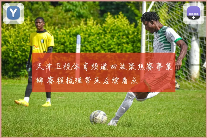 天津卫视体育频道回放聚焦赛事集锦 赛程梳理带来后续看点